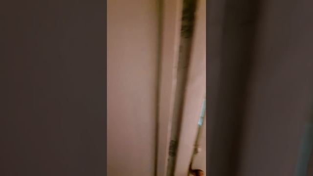 Купили убитую однокомнатную квартиру с тараканами в Хрущевке на 5-ом этаже. Рум тур смотреть онлайн