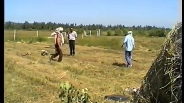 Как в деревне заготавливают сено. Любительские съемки 1996 год. смотреть онлайн