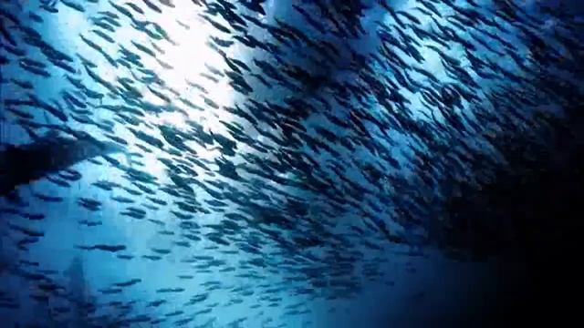 1287 - test 1 - png смотреть онлайн