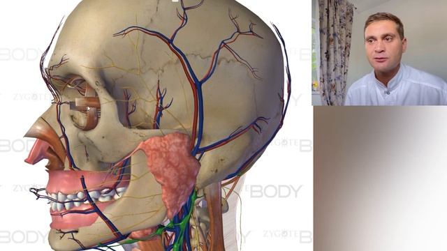 МОРЩИНЫ НА ЛБУ. ПРИЧИНЫ И СПОСОБЫ УСТРАНЕНИЯ. смотреть онлайн