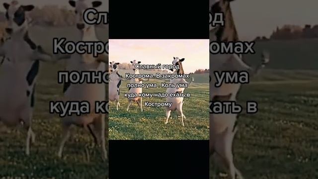 Славни город Кострома смотреть онлайн