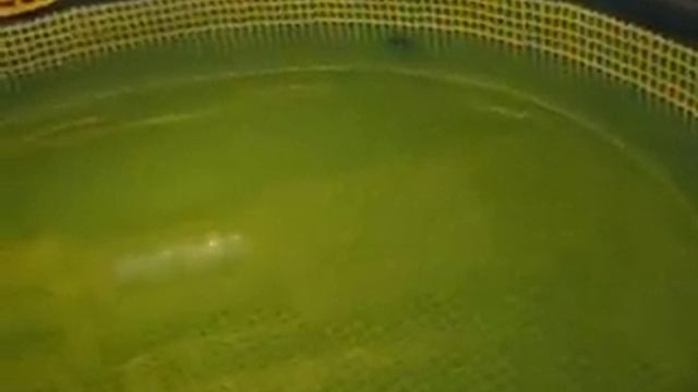Подогрев бассейна зимой своими руками pool heating Winter D.I.Y смотреть онлайн