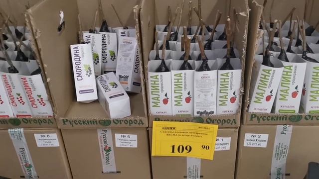 ✨МАЯК✨Единственный в Самаре! ?Советую его посмотреть! смотреть онлайн