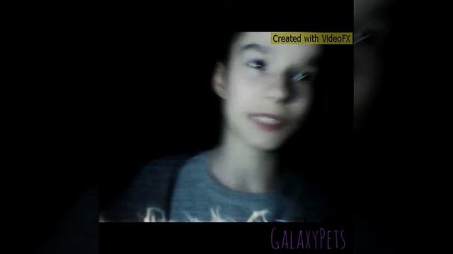 ЧТО НУЖНО ДЛЯ ЩЕНКА ЙОРКА В ДОМЕ? #GalaxyPets смотреть онлайн