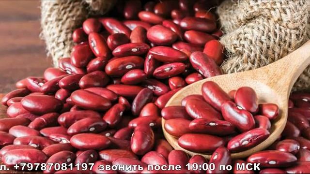 Батюшка и фасоль смотреть онлайн