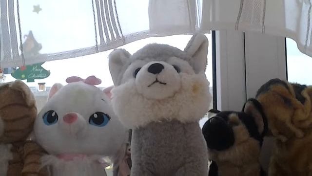 7 фактов об моей собаке! //какая порода у моей собаке? смотреть онлайн