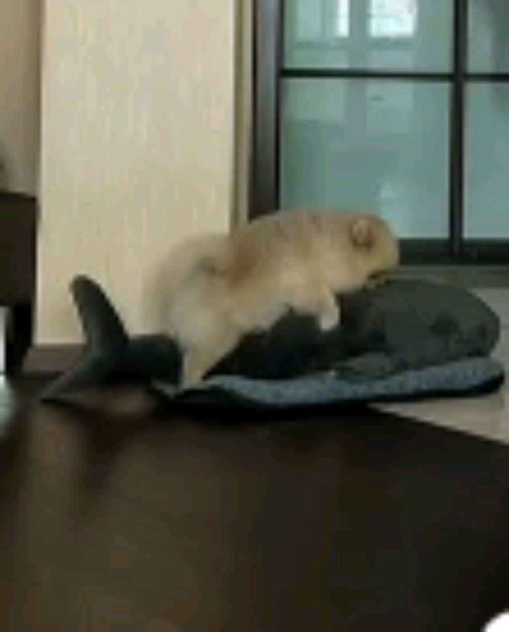 ★37 софья 57★