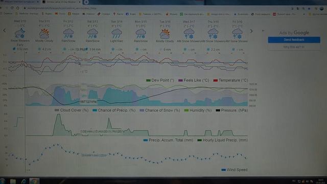 P3100829 10 марта 2021г. 17:30час. Густой снегопад под занавес 1-й декады марта: зима не отступает смотреть онлайн