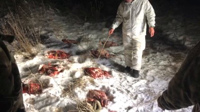 ОХОТА смотреть онлайн