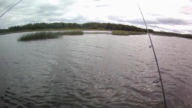 Чемпионат Рыбинска Спиннинг с лодок 25.08.2019г. смотреть онлайн