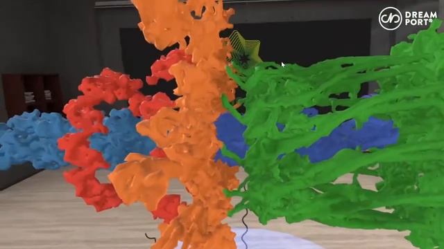 Биология в виртуальной реальности || Biology VR