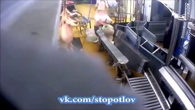 Ад на скотобойне смотреть онлайн