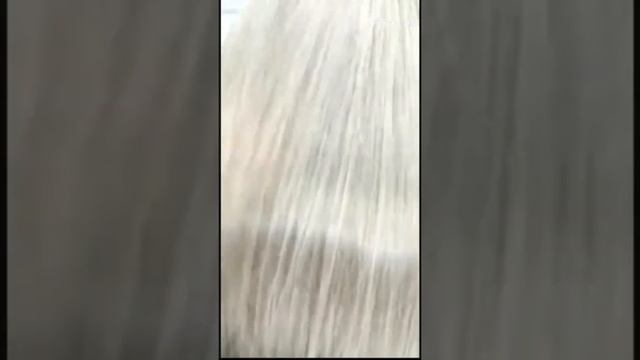 мелирование +тонирование смотреть онлайн
