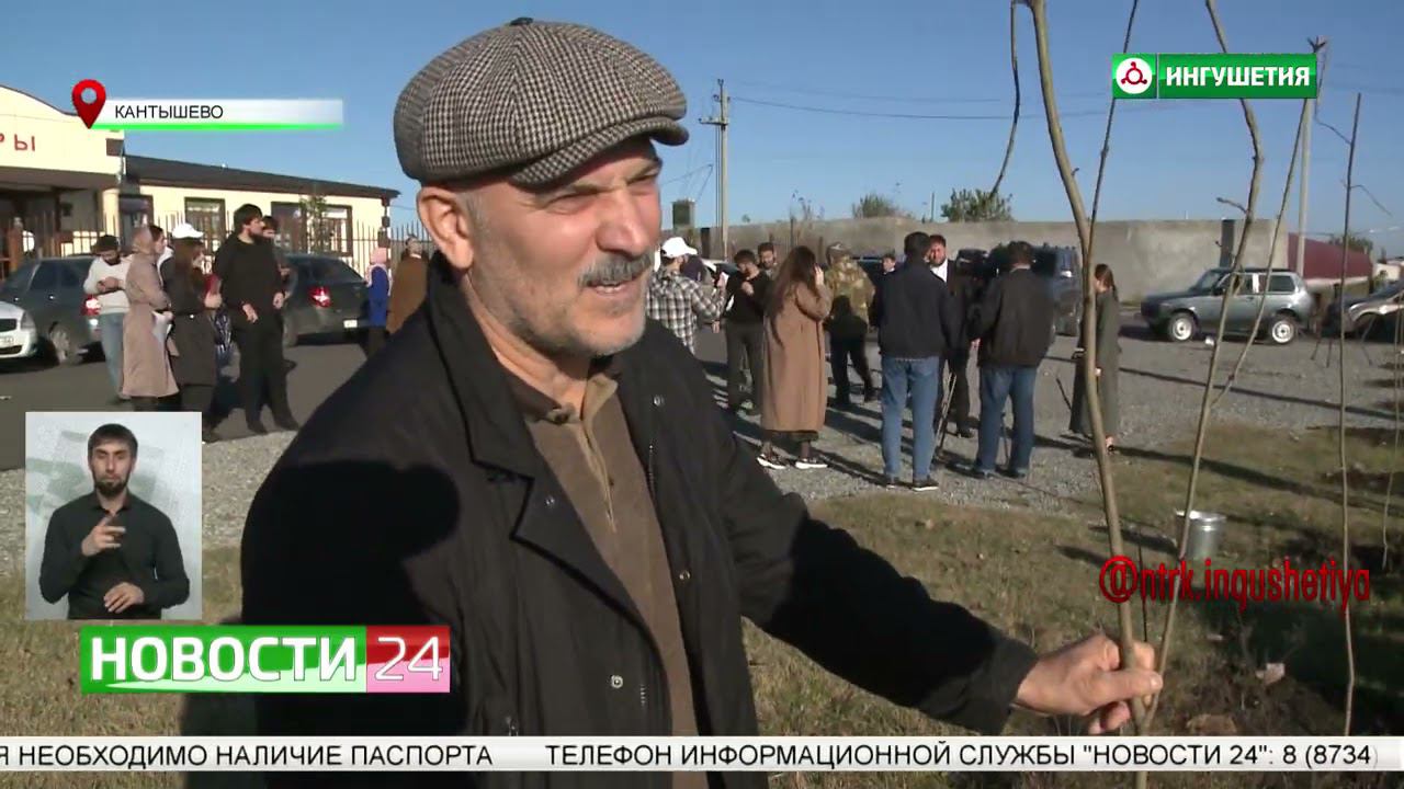 Сюжет НТРК Ингушетия о Всероссийской акции Сохраним лес