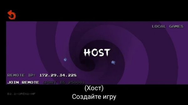 Настройка онлайн мультиплеера через ZeroTier One | Nuclear Throne Mobile Co-op