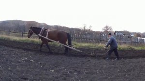 Лошадь в ПАШНЕ - МОЩЬ!!!