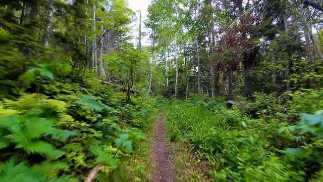 Жуткий Случай На Охоте Заставил Его Поверить в Мистику | Мистические Истории | Необузданная Жизнь смотреть онлайн