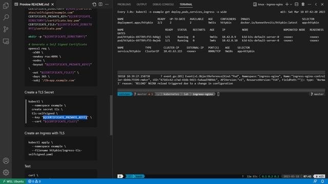 014 Criando um Ingress com NGINX Ingress Controller com HTTPS e um Certificado Self Signed