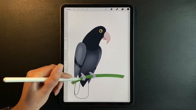 Как нарисовать попугая КАКАДУ ✦ РИСУЮ на iPAd ✦ How to Draw a Parrot смотреть онлайн
