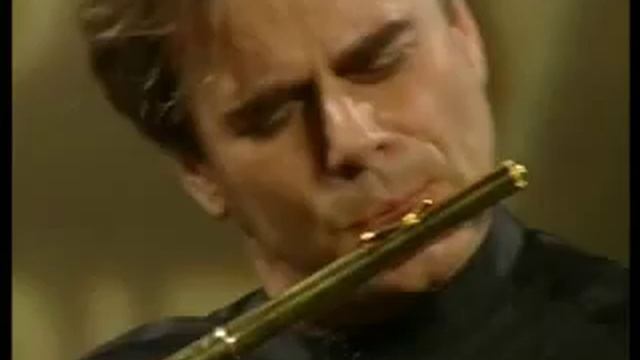 Andrea Griminelli and Irene Veneziano play the "Flight of the Bumble-Bee" of Rimskji Korsakov смотреть онлайн