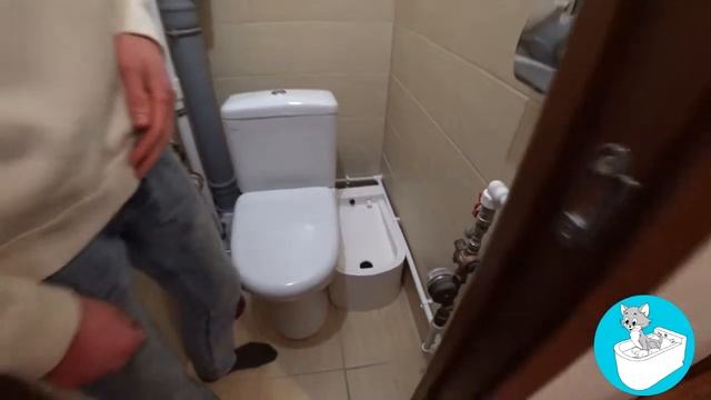 Инновационный туалет без наполнителя! смотреть онлайн