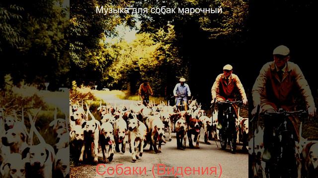 Музыка (Собаки) смотреть онлайн