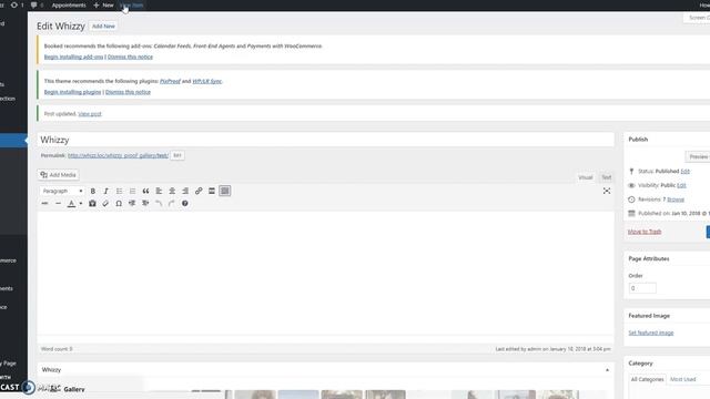 Tutorial for Whizzy Plugin смотреть онлайн