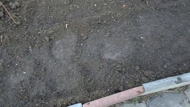 Сажаем лук, сеем свёклу, кинзу, петрушку САРАТОВ смотреть онлайн