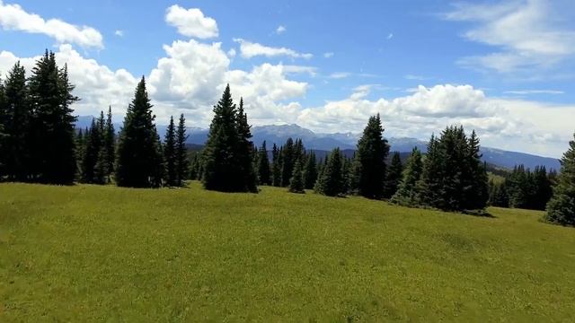 Развод\ Как выжить после расставания, а не из ума. смотреть онлайн