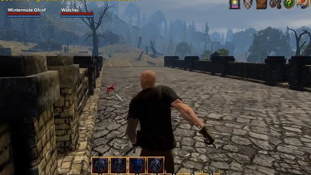 Shroud of the Avatar PRE-ALPHA R11 - Steam First Look (native on Fedora 20 Linux) смотреть онлайн