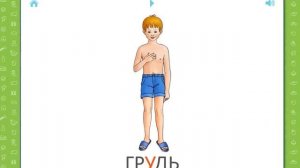 Учебные Карточки (Домана) для детей №14 - Человек. Части тела