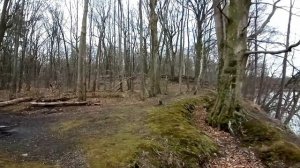 Замок Варген Прейль секретные места Калининградской области поместье Лендорф история, место силы