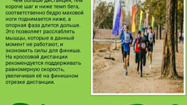 Урок физической культуры в 7 классе по теме: "Кроссовая подготовка" смотреть онлайн