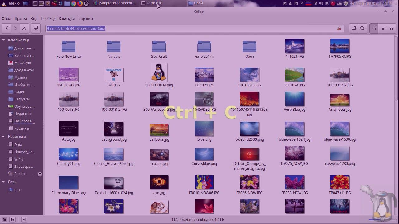 Linux для начинающих_терминал-начало смотреть онлайн