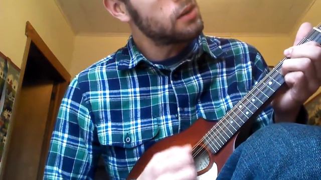 Seagull Mandolin s8 Review смотреть онлайн