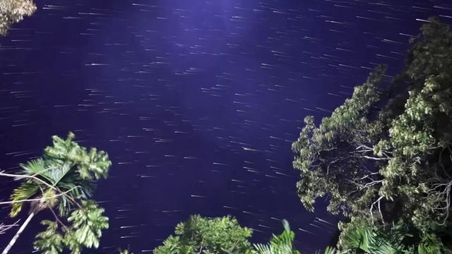 Nikon 1 J5: Star Trails смотреть онлайн