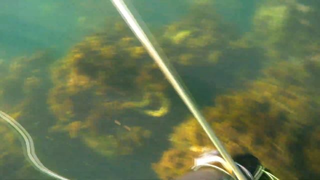 ж жадность смотреть онлайн