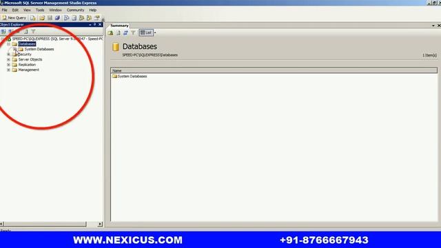 Speed Plus 9 How To Convert MS Access Existing Database to SQL Server www.nexicus.com смотреть онлайн