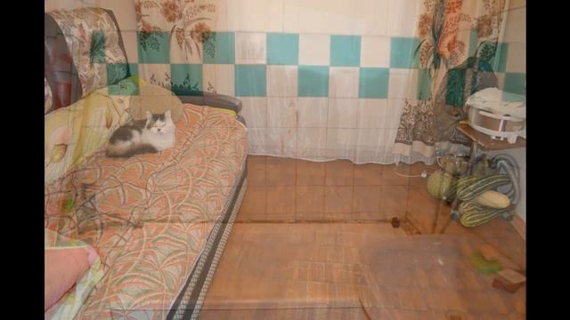 Купить 3 комн Ленинский Солнечная 10 ✆ 21-555-42 в Красноярске смотреть онлайн