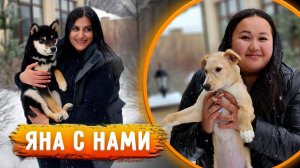 Прилетела Яна к нам в Москву. Игры с Хвостиками. Переговоры.