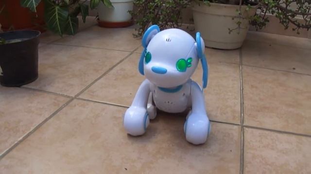 Wappy interactive dog - Nintendo DS :3 смотреть онлайн