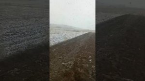 Юмз 4Х4 с двигателем ом 364LА в пахоте