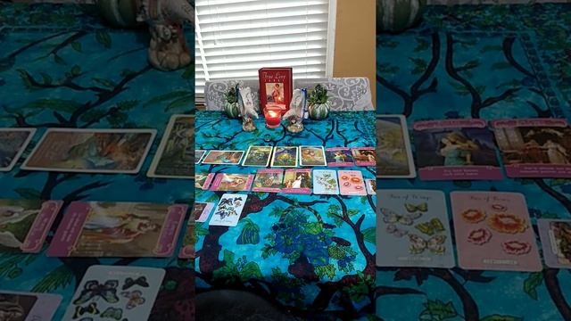 ♍ Virgo ♍, February 2020 Love Reading смотреть онлайн