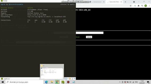 Backconnect to Server , using perl. смотреть онлайн