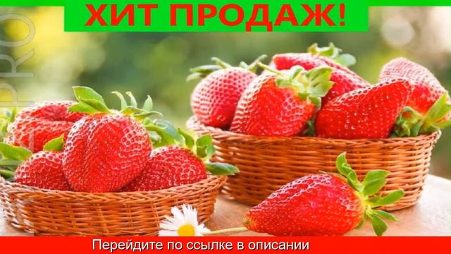 Ягодница кладовая природы реальные отзывы смотреть онлайн