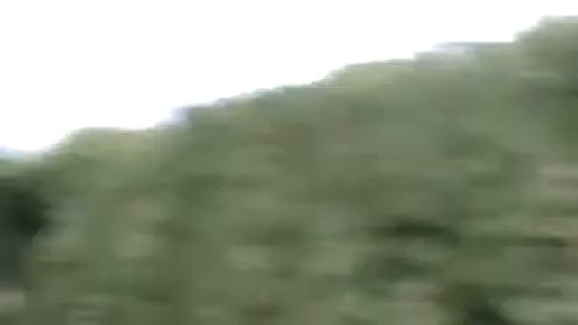 Nissan Pulsar Gti-r External Wastegate Open Road New Zealand