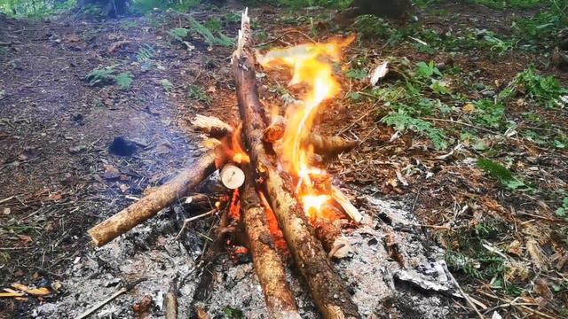 Пеший поход - Дорога в Лавру (Автор Максим Козлов) смотреть онлайн