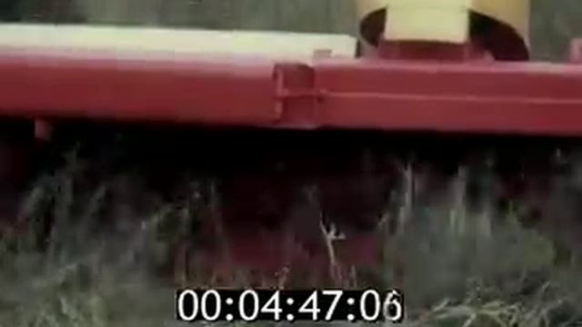 Кормовиробництво ч 1 смотреть онлайн