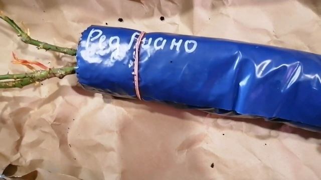 ЦВЕТОК.ШОП Посылка с саженцами роз смотреть онлайн