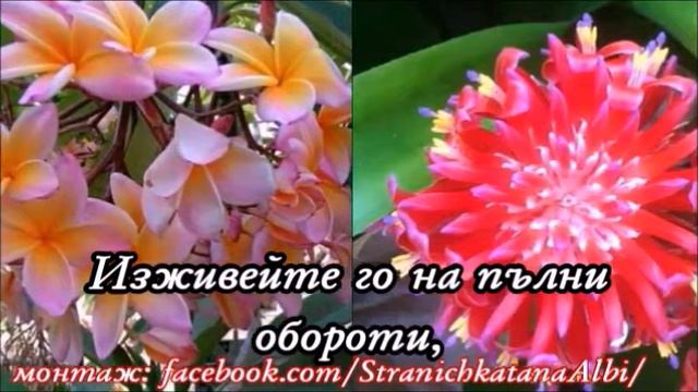 💞Добро утро,приятели!!!☕️🌸🌷🍀💞😜Прекрасен ден!!!💞 смотреть онлайн
